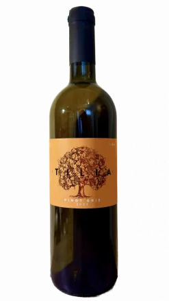 Flasche Pinot Gris
