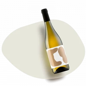 Vi 2021 (Chardonnay) - Lepa vida