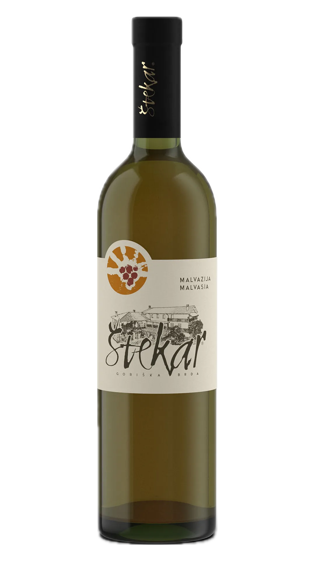 Flasche Malvazija 2022 (Basic Line) von Štekar